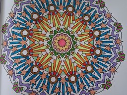 whatsapp bild 2025-03-26 um 11.58.30_65dfa53c